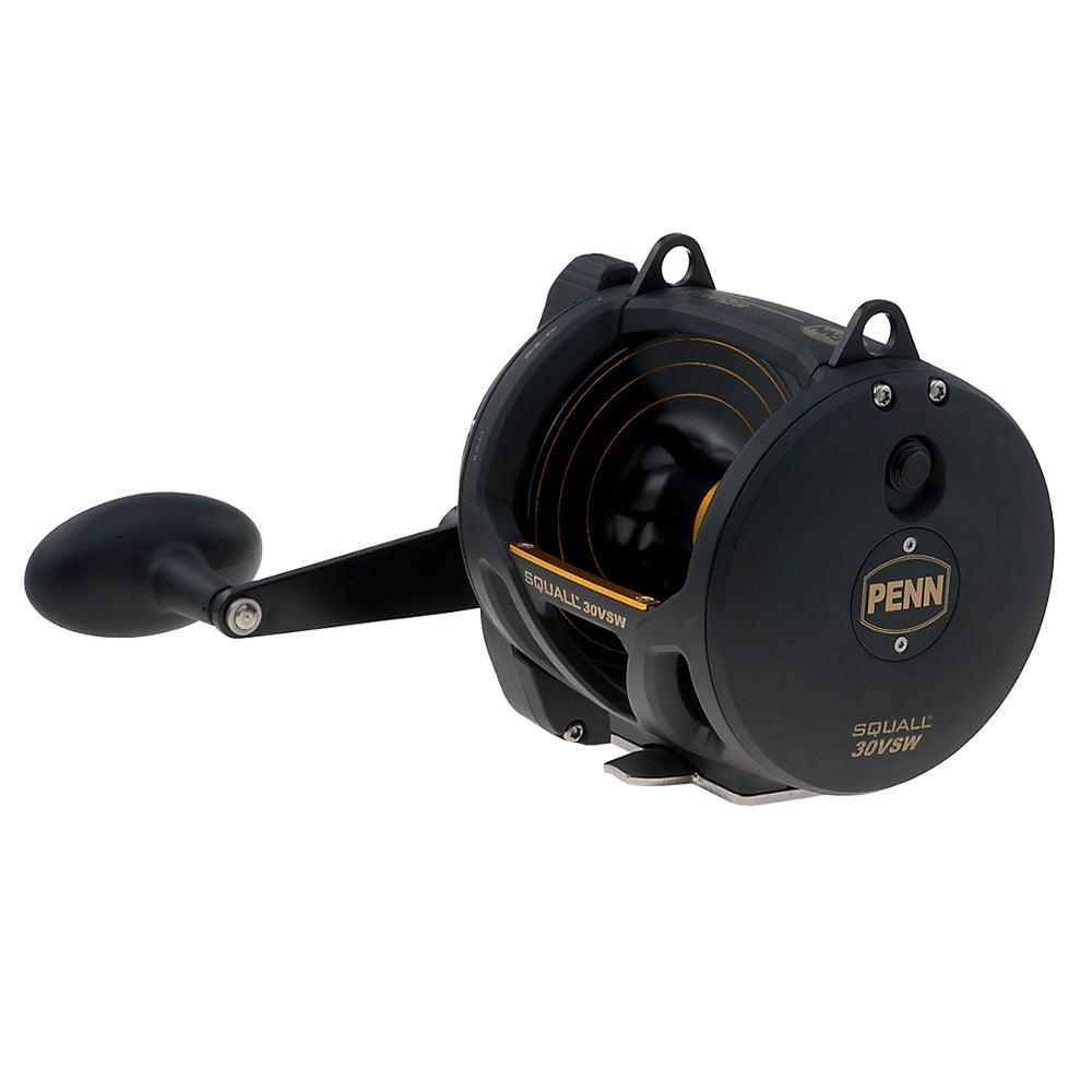 PENN SQL30VSW Squall Lever Drag 2 Speed Conventional Reel