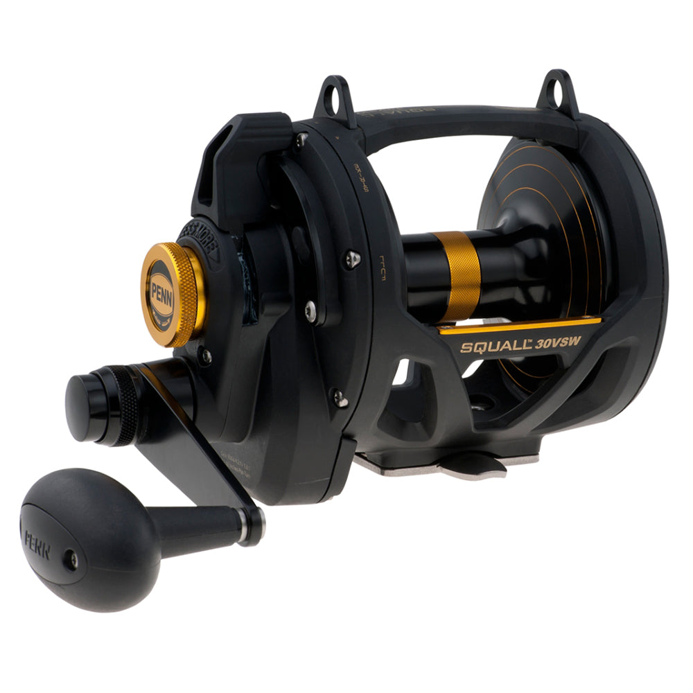 PENN SQL30VSW Squall Lever Drag 2 Speed Conventional Reel