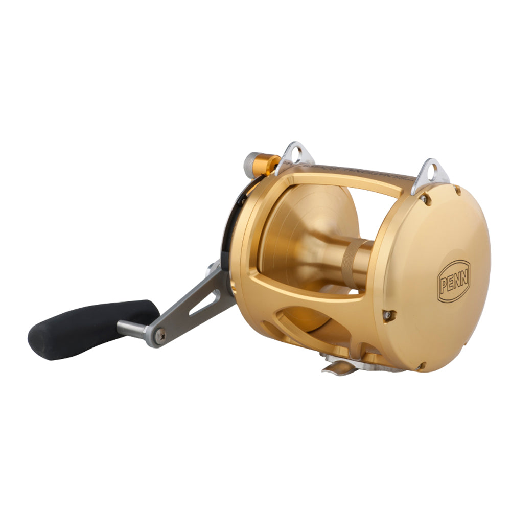 PENN International 80 VISW INT80VISW 2-Speed Conventional Reel - Gold