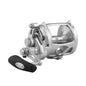 PENN International 50 VISWS INT50VISWS 2-Speed Conventional Reel - Silver