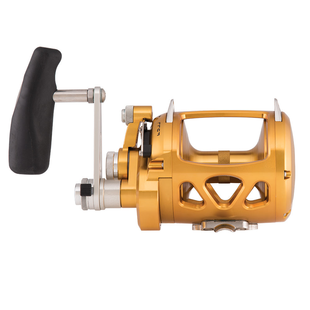 PENN International 30 VISW INT30VISW 2-Speed Conventional Reel - Gold